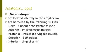 □
6
Ovoid-shaped
□ are located laterally in the oropharynx
□ are bordered by the following tissues:
- Deep - Superior constrictor muscle
- Anterior - Palatoglossus muscle
- Posterior - Palatopharyngeus muscle
- Superior - Soft palate
- Inferior - Lingual tonsil
Anatomy…cont
 
