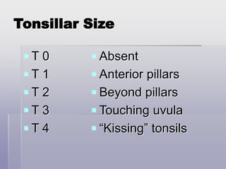 Tonsillar Size
 T 0
 T 1
 T 2
 T 3
 T 4
 Absent
 Anterior pillars
 Beyond pillars
 Touching uvula
 “Kissing” tonsils
 