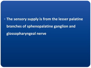  The sensory supply is from the lesser palatine
branches of sphenopalatine ganglion and
glossopharyngeal nerve
 
