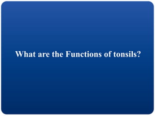 What are the Functions of tonsils?
 