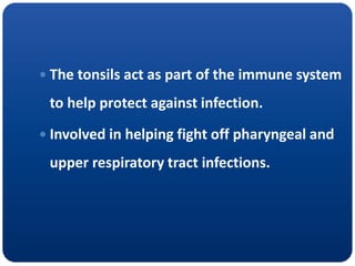  The tonsils act as part of the immune system
to help protect against infection.
 Involved in helping fight off pharyngeal and
upper respiratory tract infections.
 