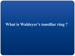 What is Waldeyer’s tonsillar ring ?
 