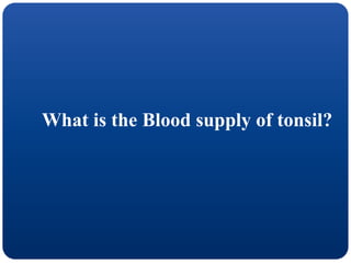 What is the Blood supply of tonsil?
 