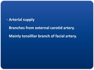  Arterial supply
Branches from external carotid artery.
Mainly tonsilllar branch of facial artery.
 