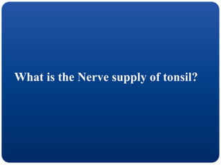 What is the Nerve supply of tonsil?
 