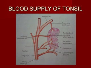 BLOOD SUPPLY OF TONSIL
 