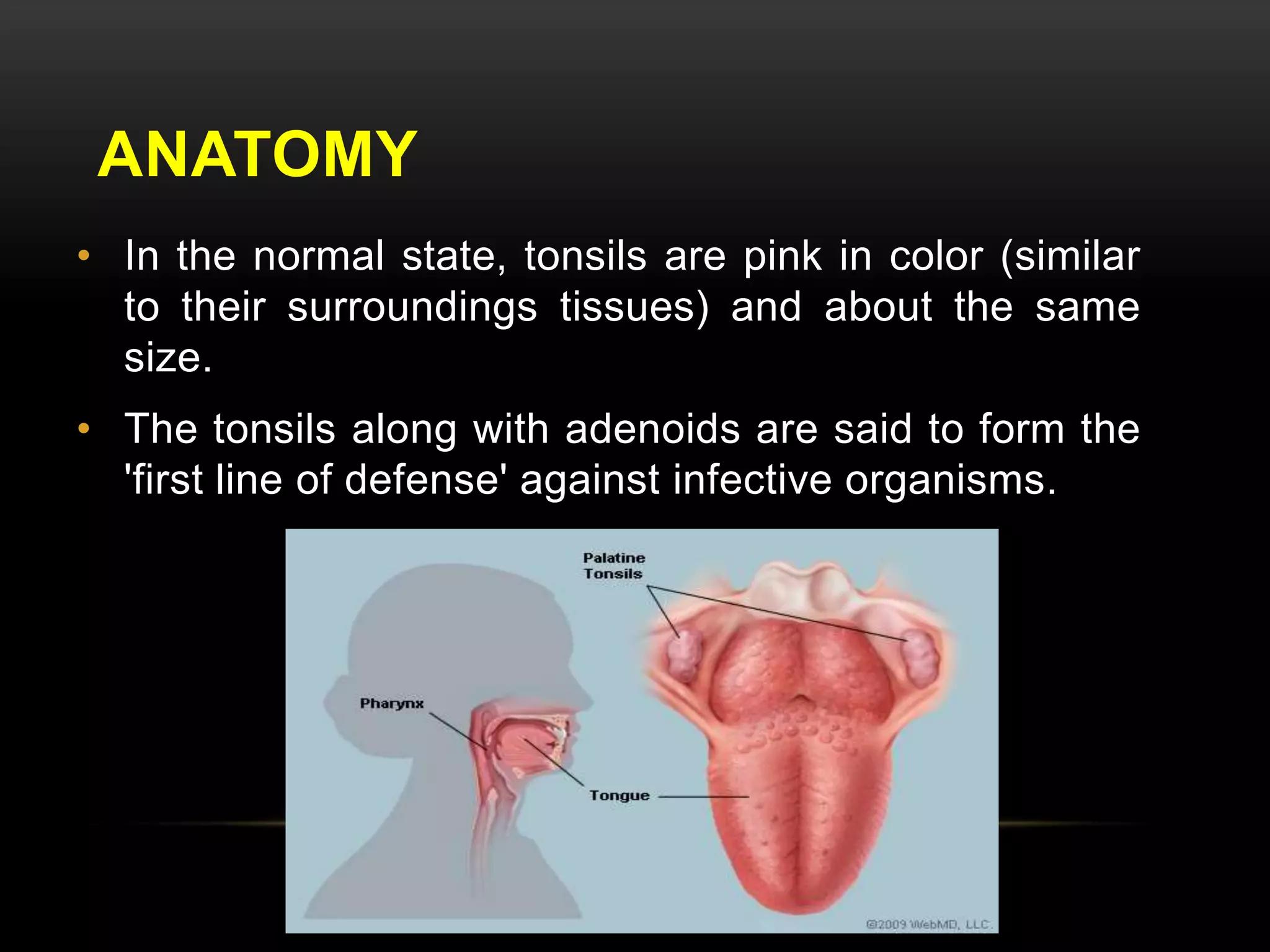 ANATOMY 
• In the normal state, tonsils are pink in color (similar 
to their surroundings tissues) and about the same 
size. 
• The tonsils along with adenoids are said to form the 
'first line of defense' against infective organisms. 
 