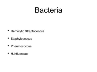 Bacteria
• Hemolytic Streptococcus
• Staphylococcus
• Pneumococcus
• H.influenzae
 