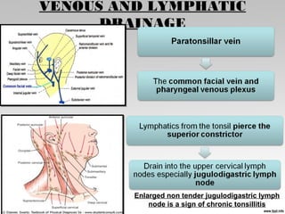 VENOUS AND LYMPHATIC
DRAINAGE
Enlarged non tender jugulodigastric lymph
node is a sign of chronic tonsillitis
 