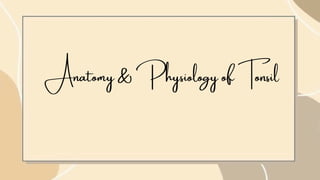 Anatomy & P hysiology of Tonsil
 