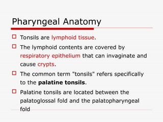 Pharyngeal Anatomy
 Tonsils are lymphoid tissue.
 The lymphoid contents are covered by
respiratory epithelium that can invaginate and
cause crypts.
 The common term "tonsils" refers specifically
to the palatine tonsils.
 Palatine tonsils are located between the
palatoglossal fold and the palatopharyngeal
fold
 