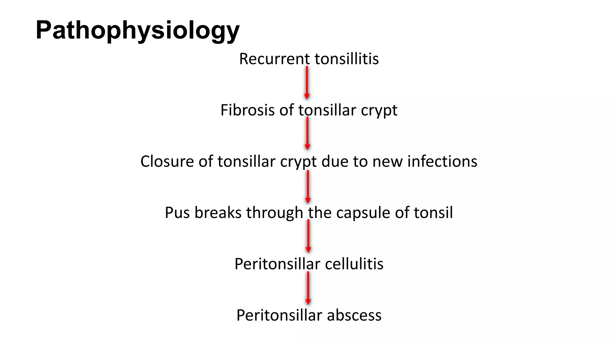 Pathophysiology
Recurrent tonsillitis
Fibrosis of tonsillar crypt
Closure of tonsillar crypt due to new infections
Pus breaks through the capsule of tonsil
Peritonsillar cellulitis
Peritonsillar abscess

 