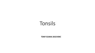Tonsils
TONY SCARIA 2010 KMC
 