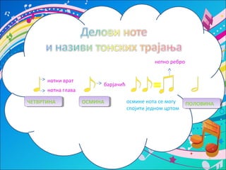 ЧЧЕЕТТВВРРТТИИННАА ООССММИИННАА осмине нота се могу 
спојити једном цртом 
ППООЛЛООВВИИННАА 
нотни врат 
нотна глава 
барјачић 
нотно ребро 
 