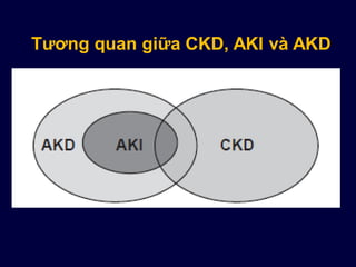 Tương quan giữa CKD, AKI và AKD
 