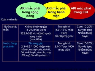 Nước phát
triển
Không thường gặp
(1-2% nhập viện)
322.4-522.4 /100000 người
trong 1 năm
(Hsu, USA)
Trung bình
(4.9-7.2 % nhập
viện)
66-88 pmp year
Cao (10-20%)
Suy đa tạng
Nhiễm trùng
huyết
Nước đang
phát triển
Thường gặp
2.3- 6.6 / 1000 nhập viện
(sốt rét,leptospirosis, dịch tả,
Sốt xuất huyết, rắn cắn, ong
đốt, ngộ độc đông dược….
Trung bình
2.1-3.7 per 1000
nhập viện
Cao (10-20%)
Suy đa tạng
Nhiễm trùng
huyết
AKI mắc phải
trong cộng
đồng
AKI mắc phải
trong bệnh
viện
AKI mắc phải
trong ICU
Cerda J et al, Nature Clin Prac Nephrol, 4(3), 138-153, 2008
Xuất mới mắc
 