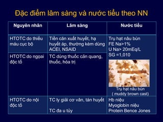 Đặc điểm lâm sàng và nước tiểu theo NN
Nguyên nhân Lâm sàng Nước tiểu
HTOTC do thiếu
máu cục bộ
Tiền căn xuất huyết, hạ
huyết áp, thường kèm dùng
ACEI, NSAID
Trụ hạt nâu bùn
FE Na>1%
U Na> 20mEq/L
SG =1,010HTOTC do ngọai
độc tố
TC dùng thuốc cản quang,
thuốc, hóa trị
HTOTC do nội
độc tố
TC ly giải cơ vân, tán huyết
TC đa u tủy
Hb niệu
Myoglobin niệu
Protein Bence Jones
Trụ hạt nâu bùn
( muddy brown cast)
 