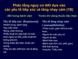Phân tầng nguy cơ AKI dựa vào
các yếu tố tiếp xúc và tăng nhạy cảm (1B)
Yếu tố tiếp xúc (Exposures)
•Nhiễm trùng, bệnh nặng
•Suy tuần hòan
•Bỏng, chấn thương,
•Phẫu thuật tim (đặc biệt với tuần
hòan ngòai cơ thể), phẫu thuật lớn
không phải tim
•Dùng thuốc độc thận, thuốc cản
quang.
•Tiếp xúc độc chất thực vật và động
vật.
Yếu tố tăng nhạy cảm
( susceptibiluties)
•Thiếu nước, giảm thể tích tuần
hòan,
•Người lớn tuổi, phụ nữ
•Người da đen
•Bệnh thận mạn
•Bệnh mạn tính ( tim, phổi, gan)
•Đái tháo đường
•Ung thư, Thiếu máu
AKI trong bệnh viện Trước khi dùng thuốc độc thận
 