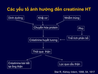 Các yếu tố ảnh hưởng đến creatinine HT
Khối cơDinh dưỡng Nhiễm trùng
Chuyển hóa protein
Créatinine huyết tương
Phù
Tnể tích phân bố
Thải qua thận
Créatinine bài tiết
tại ống thận
Lọc qua cầu thận
SStar R, Kidney Intern, 1998, 54, 1817
 
