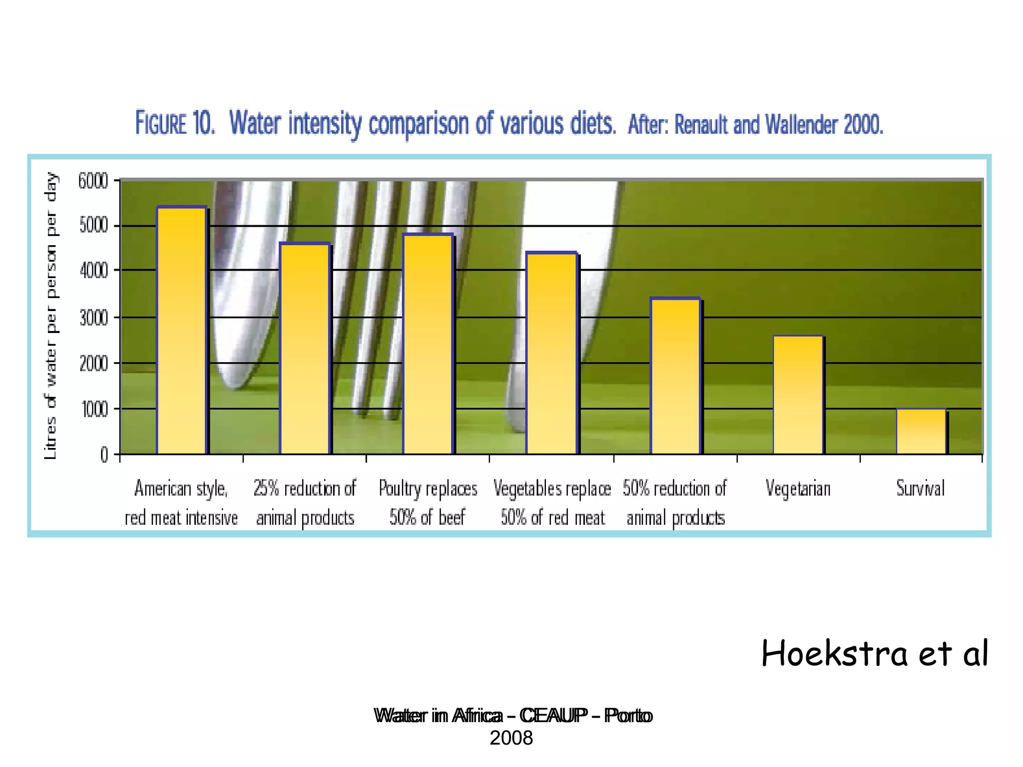 Water in Africa - CEAUP - Porto 2008 Hoekstra et al 