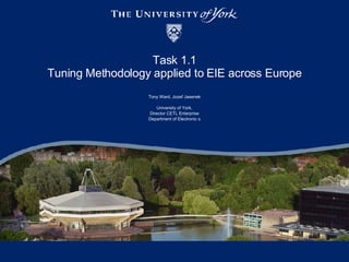 Task 1.1 Tuning Methodology applied to EIE across Europe Tony Ward, Jozef Jasenek University of York, Director CETL Enterprise Department of Electronic s 