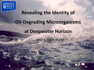 Revealing the Identity of
Oil-Degrading Microorganisms
   at Deepwater Horizon
       ….and a little more
 
