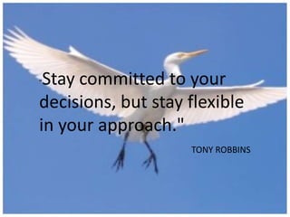 Stay committed to your
decisions, but stay flexible
in your approach."
"

TONY ROBBINS

 