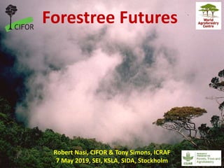 Robert Nasi, CIFOR & Tony Simons, ICRAF
7 May 2019, SEI, KSLA, SIDA, Stockholm
Forestree Futures
 