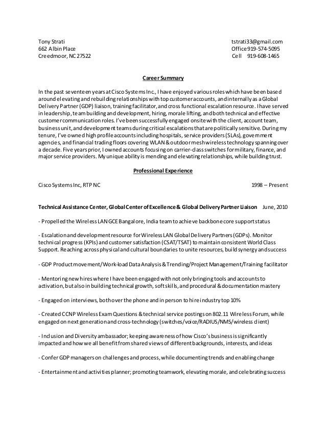 tony strati resume career summary for customer service