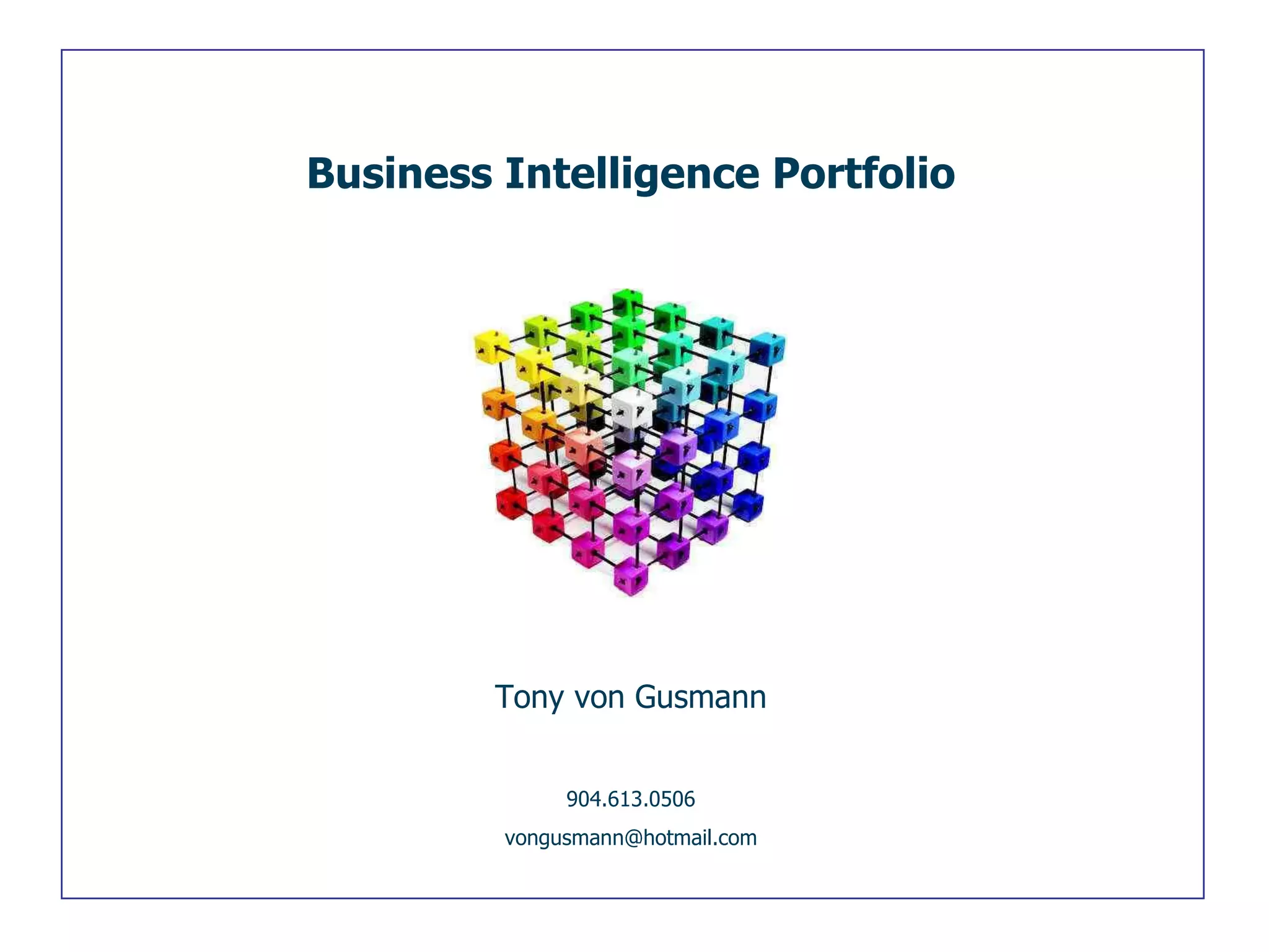 Tony von Gusmann 904.613.0506 [email_address] Business Intelligence Portfolio 