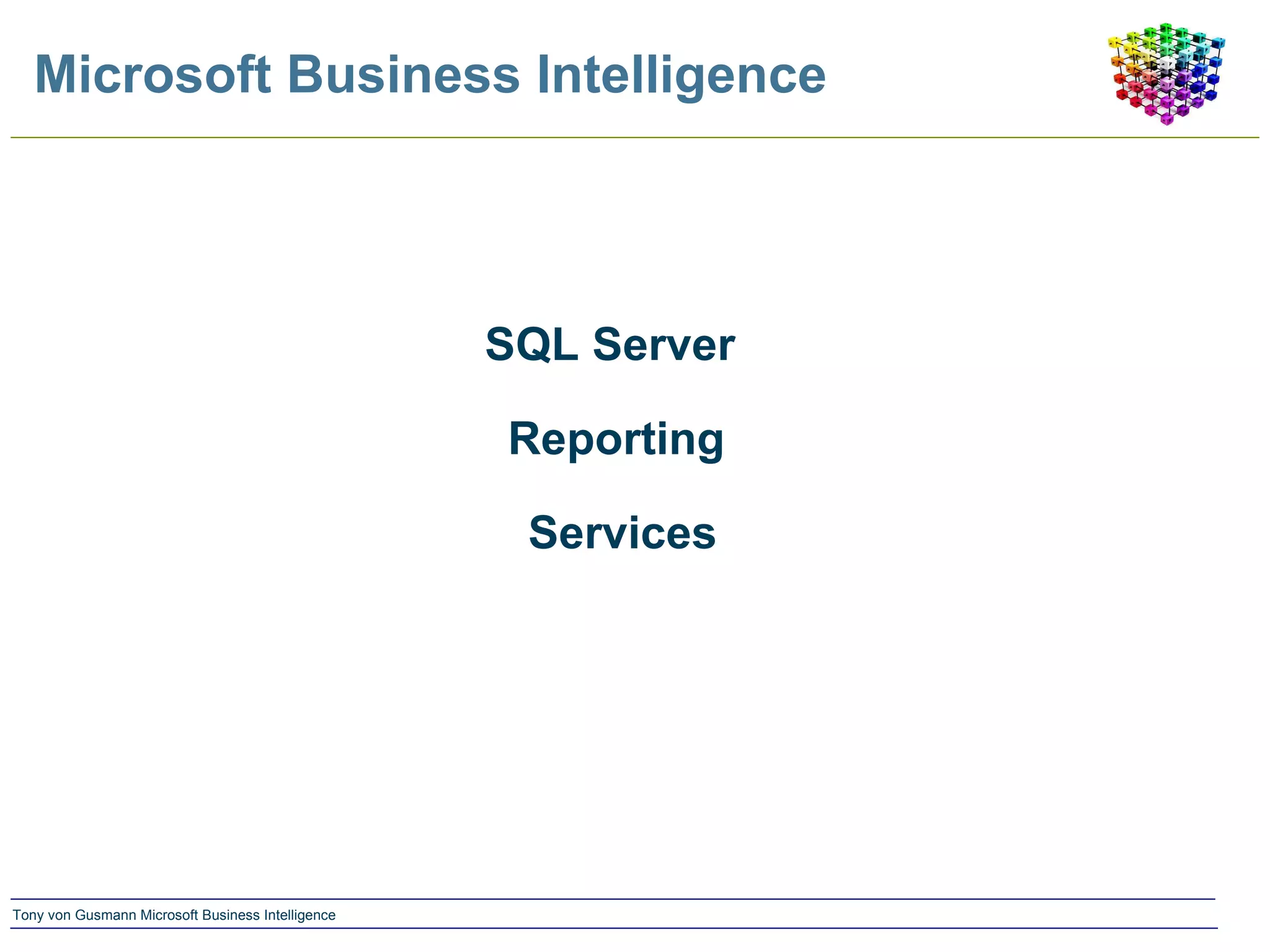 Microsoft Business Intelligence SQL Server  Reporting  Services 
