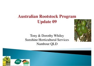 Australian Rootstock Program
          Update 09


      Tony & Dorothy Whiley
   Sunshine Horticultural Services
          Nambour QLD
 