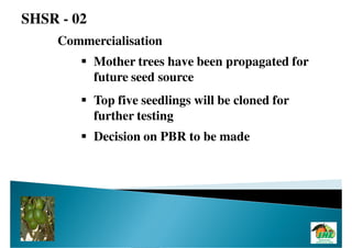 SHSR - 02
    Commercialisation
            Mother trees have been propagated for
            future seed source
            Top five seedlings will be cloned for
            further testing
            Decision on PBR to be made
 