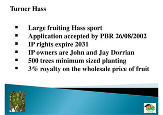 Turner Hass

     Large fruiting Hass sport
     Application accepted by PBR 26/08/2002
     IP rights expire 2031
     IP owners are John and Jay Dorrian
     500 trees minimum sized planting
     3% royalty on the wholesale price of fruit
 