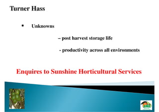 Turner Hass

       Unknowns

                  – post harvest storage life

                  - productivity across all environments



  Enquires to Sunshine Horticultural Services
 