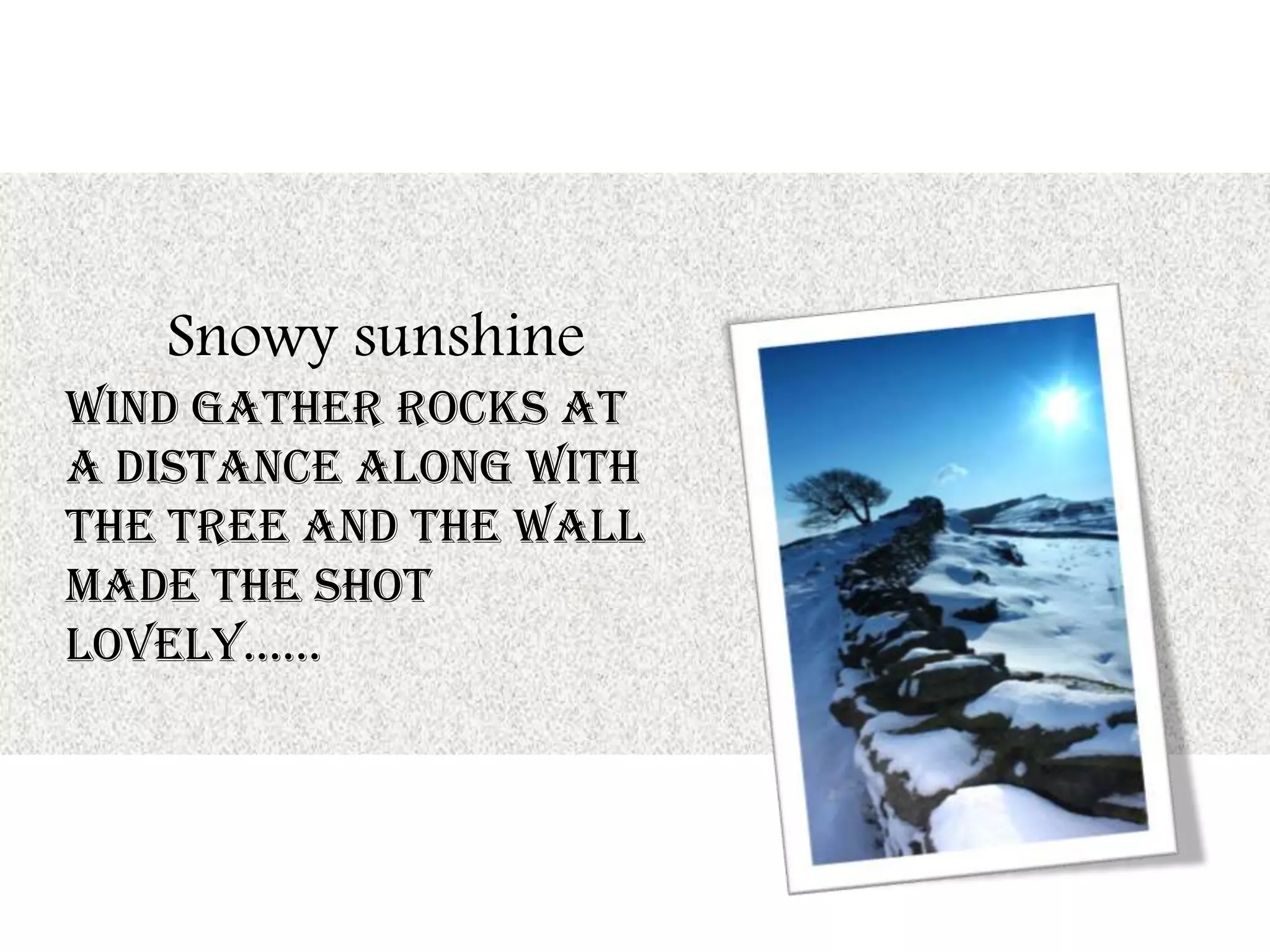 Snowy sunshine
Wind gather Rocks at
a distance along with
the tree and the wall
made the shot
lovely……
 