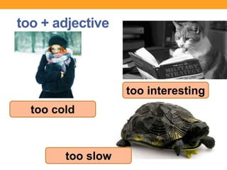 too + adjective
too cold
too interesting
too slow
 