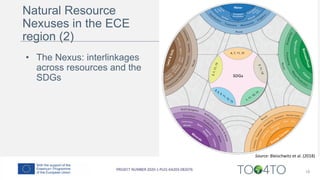 18
Source: Bleischwitz et al. (2018)
• The Nexus: interlinkages
across resources and the
SDGs
Natural Resource
Nexuses in the ECE
region (2)
 