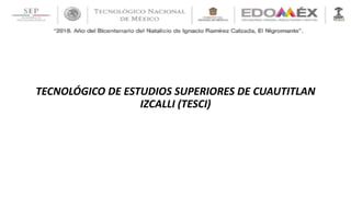 TECNOLÓGICO DE ESTUDIOS SUPERIORES DE CUAUTITLAN
IZCALLI (TESCI)
 