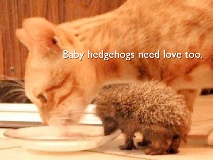 Too Cute