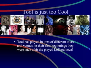 Tool is just too Cool Tool has played in tons of different tours and venues, in their first beginnings they were such a hit the played Lollapalooza! 