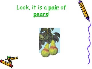 Look, it is a  pair  of  pears ! 