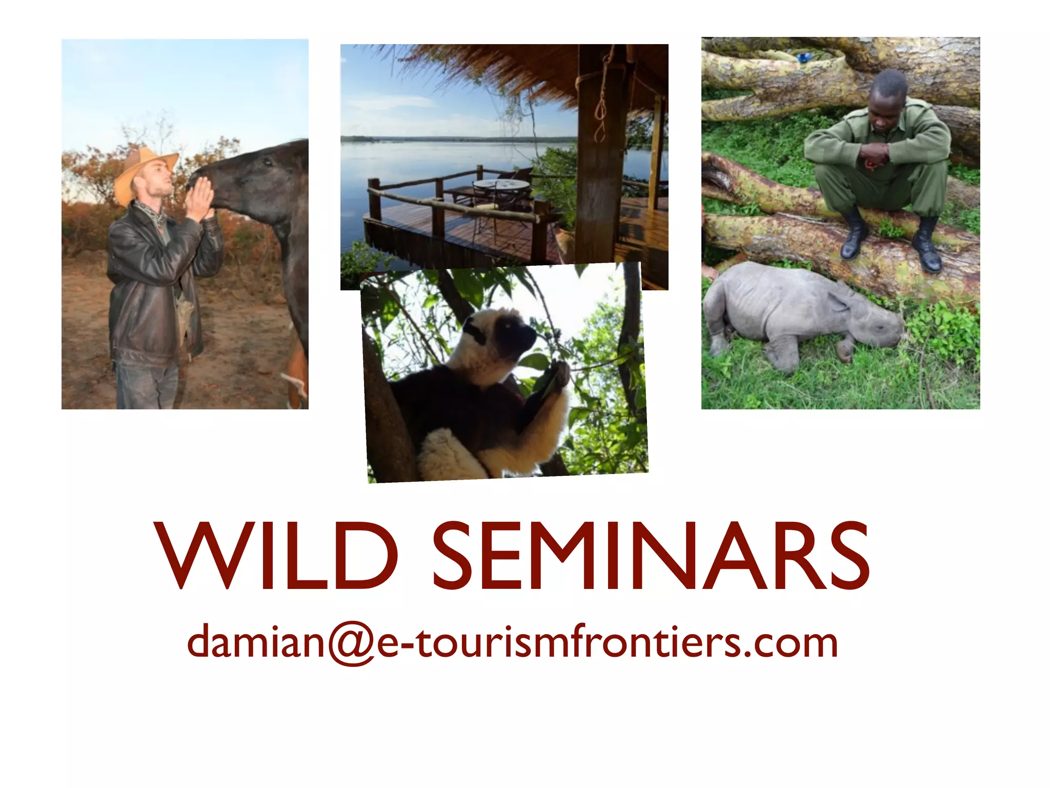 WILD SEMINARS 
damian@e-tourismfrontiers.com 
 