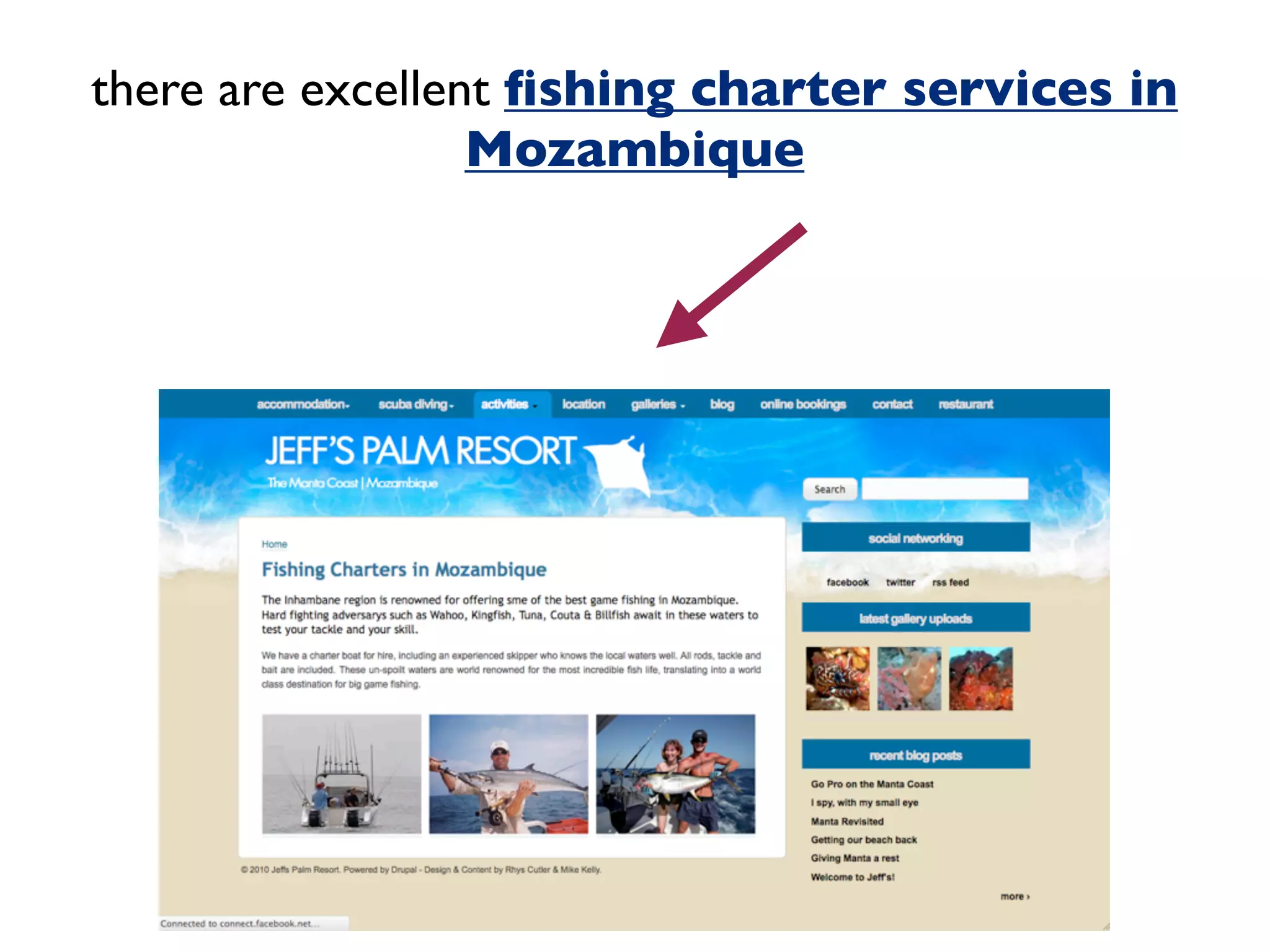there are excellent fishing charter services in 
Mozambique 
 