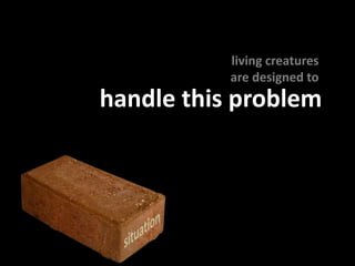 handle this problem
living creatures
are designed to
 