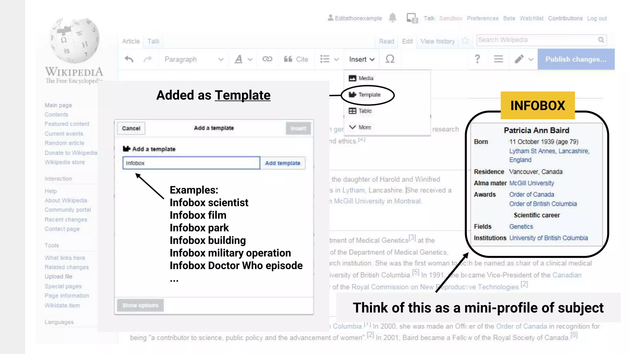 Added as Template
INFOBOX
Examples:
Infobox scientist
Infobox film
Infobox park
Infobox building
Infobox military operation
Infobox Doctor Who episode
...
Think of this as a mini-profile of subject
 