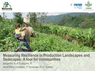 Measuring Resilience in Production Landscapes and
Seascapes: A tool for communities
Bergamini, N. & Eyzaguirre, P.
World Parks Congress, 17 November 2014, Sydney
Bioversity International/ P. Lepoint
 