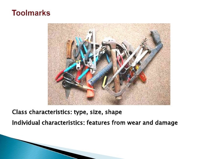 Toolmarks & impressions