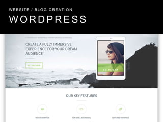 W O R D P R E S S
W E B S I T E / B L O G C R E A T I O N
 
