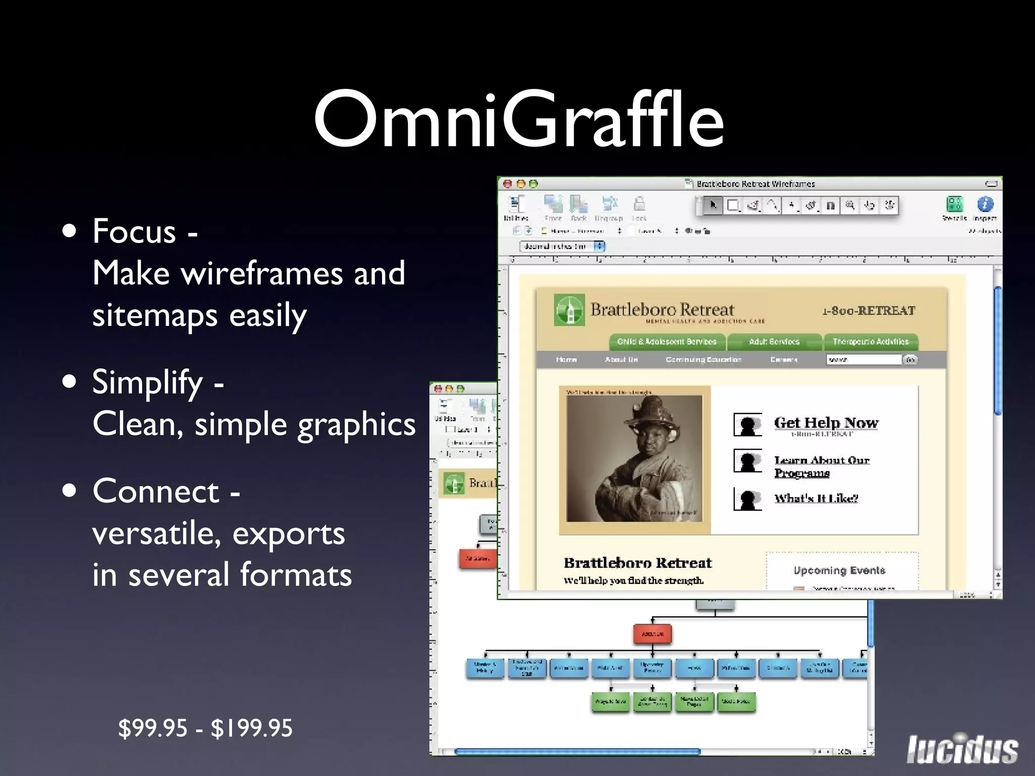 OmniGraffle Focus -  Make wireframes and sitemaps easily Simplify -  Clean, simple graphics Connect -  versatile, exports  in several formats $99.95 - $199.95 